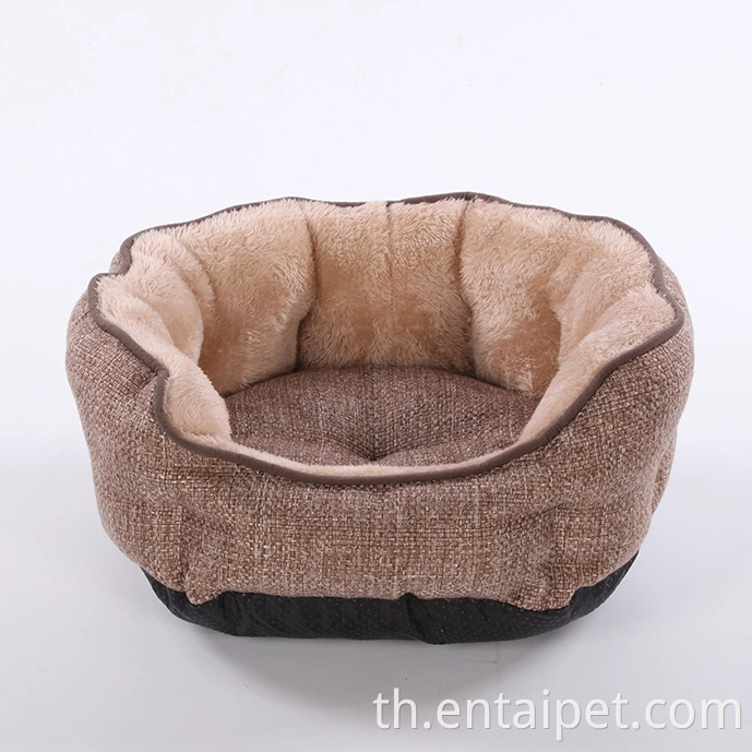 การออกแบบด้านบนผลิตภัณฑ์สุนัขร้อนขายสัตว์เลี้ยงคุณภาพสูง